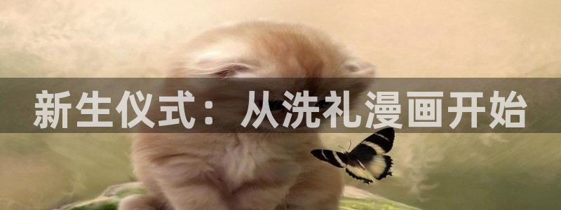 漫画岛官网网页入口