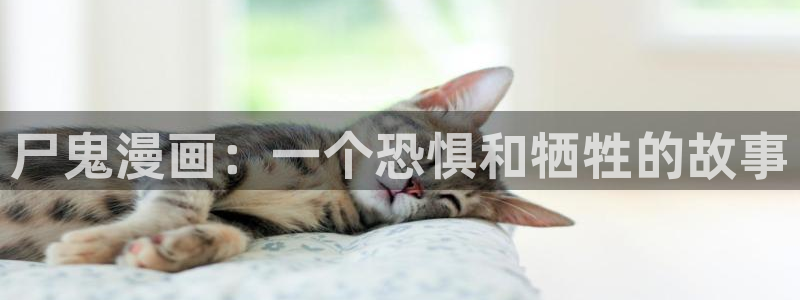 漫画岛app官方下载