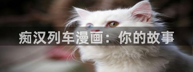 漫画岛现在改名叫什么了：痴汉列车漫画：你的故事